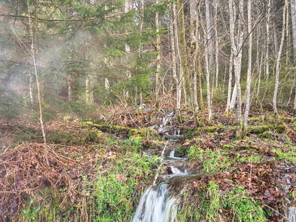 20220205202134-92b73a3b